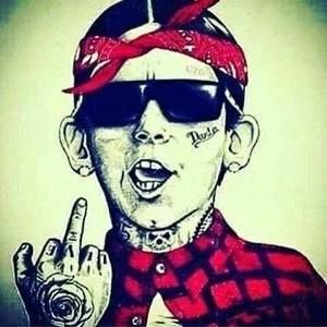 Meet your Posher, Joey